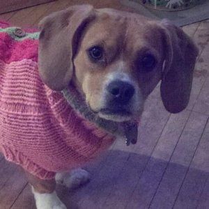 Meet your Posher, Jen